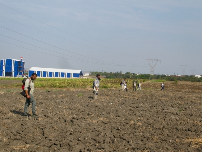 Manyas Gölü yakınlarında 300 bin yıllık olabileceği düşünülen bulgulara rastlandı
